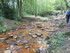 B COMME BROCELIANDE, LE VAL SA