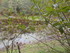B COMME BROCELIANDE, LE VAL SA