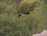 B COMME BROCELIANDE, LE VAL SA