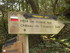 B COMME BROCELIANDE, LE HOTIÉ