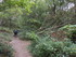 B COMME BROCELIANDE, LE HOTIÉ