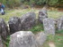 B COMME BROCELIANDE, LE HOTIÉ