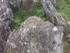 B COMME BROCELIANDE, LE HOTIÉ