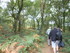 B COMME BROCELIANDE, LE TOMBEA