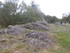 B COMME BROCELIANDE, LE TOMBEA