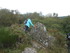 B COMME BROCELIANDE, LE TOMBEA