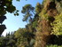 V COMME VILLECROZE - VAR - FRA