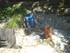 V COMME VILLECROZE (2)- VAR - 
