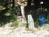 V COMME VILLECROZE (2)- VAR - 