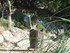 V COMME VILLECROZE (2)- VAR - 