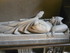L COMME LE PUY EN VELAY (3) - 
