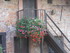 C COMME COLMAR - HAUT-RHIN - F
