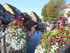C COMME COLMAR (2) - HAUT-RHIN