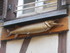 C COMME COLMAR (3) - HAUT-RHIN
