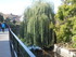 C COMME COLMAR (3) - HAUT-RHIN