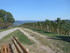 R COMME RENCHEN - ALLEMAGNE
