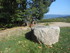 R COMME RENCHEN - ALLEMAGNE