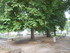 A COMME AMIENS - SOMME - FRANC
