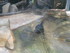 L COMME LA FERME AUX CROCODILE