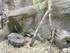 L COMME LA FERME AUX CROCODILE