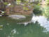 L COMME LA FERME AUX CROCODILE