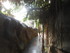 L COMME LA FERME AUX CROCODILE