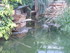 L COMME LA FERME AUX CROCODILE