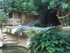 L COMME LA FERME AUX CROCODILE