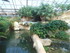 L COMME LA FERME AUX CROCODILE