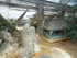 L COMME LA FERME AUX CROCODILE