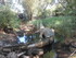 L COMME LA FERME AUX CROCODILE