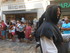 LES MEDIEVALES D'AIGUES MORTES