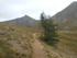 C COMME COL DE L'IZOARD - HAUT