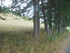 S COMME SAINT VERAN (3) - HAUT