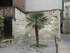 T COMME TOURS (3) - INDRE ET L