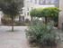 T COMME TOURS (3) - INDRE ET L