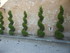 A COMME AIX EN PROVENCE (2) - 