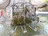 A COMME AIX EN PROVENCE (3) - 
