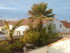 S COMME SAINTES MARIES DE LA M