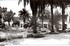 L'ALGERIE DE MON ENFANCE, 1949
