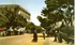L'ALGERIE DE MON ENFANCE, 1949
