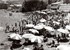 L'ALGERIE DE MON ENFANCE, 1949