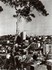L'ALGERIE DE MON ENFANCE, 1949