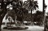 L'ALGERIE DE MON ENFANCE, 1949