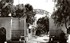L'ALGERIE DE MON ENFANCE, 1949