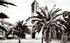 L'ALGERIE DE MON ENFANCE, 1949