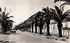 L'ALGERIE DE MON ENFANCE, 1949