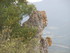 CHATEAU DE PEYREPERTUSE - AUDE