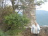 CHATEAU DE PEYREPERTUSE (2) - 