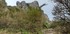 CHATEAU DE PEYREPERTUSE (3) - 
